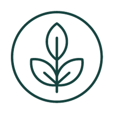 Buffalo Extraction System website element